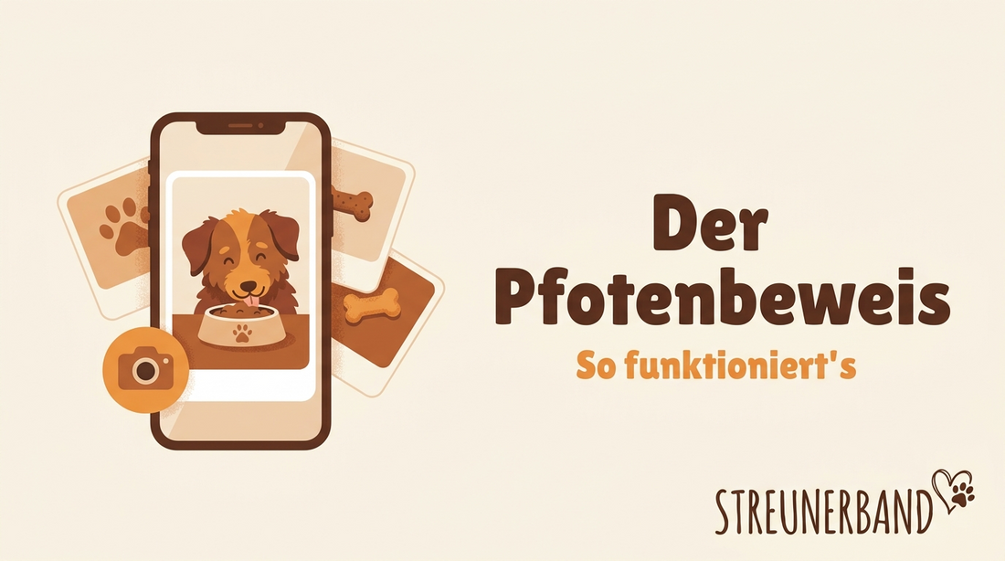 So funktioniert der Pfotenbeweis