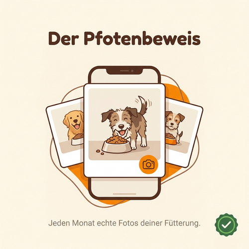 Streunerband 3er-Set