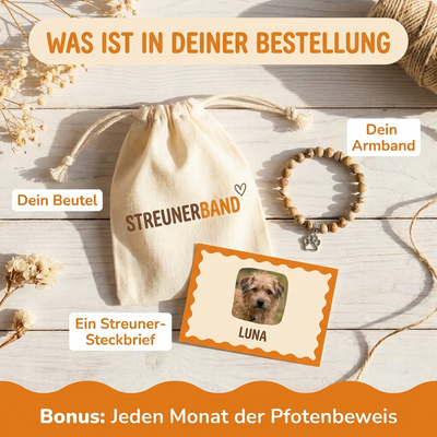 Was ist in deiner Bestellung – Streunerband